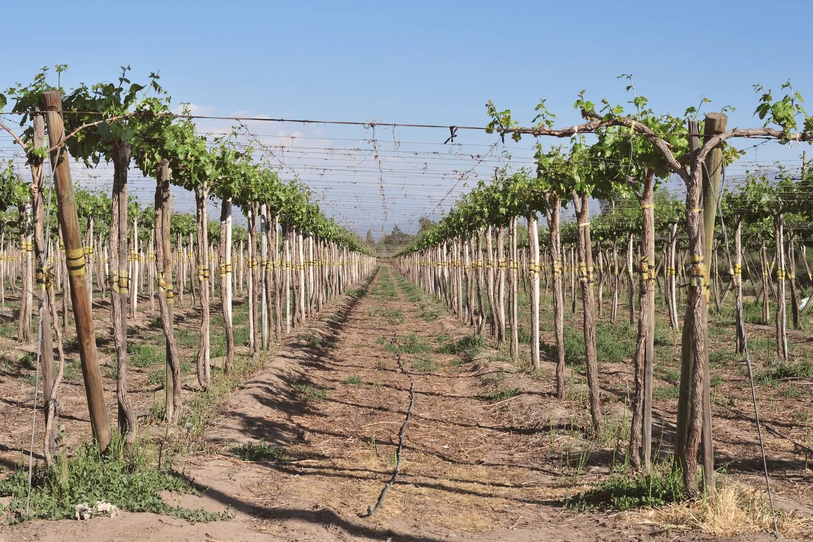 What to Bring on a Winery Visit